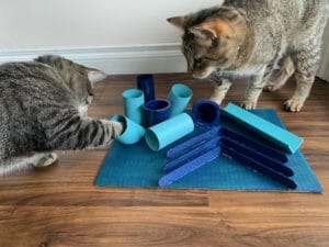 wet food puzzles for cats