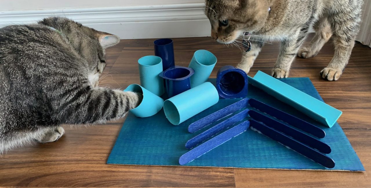 DIY Cat Activity Play Mat 